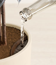 Load image into Gallery viewer, Evening Sky stand:all
