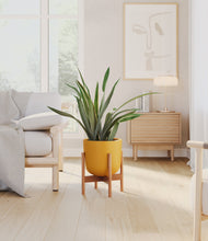 Load image into Gallery viewer, Sunset Orange stand:bamboo
