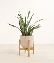 Load image into Gallery viewer, Sandy Pink stand:bamboo
