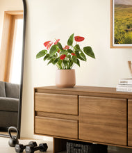 Load image into Gallery viewer, Gentle Pink
