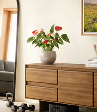 Load image into Gallery viewer, Desert Brown
