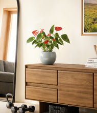 Load image into Gallery viewer, Deep Ocean
