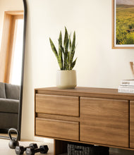 Load image into Gallery viewer, Almond Green
