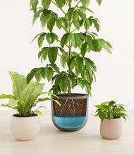 Load image into Gallery viewer, Summer Mist
