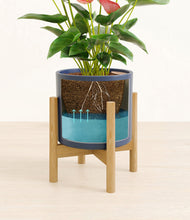 Load image into Gallery viewer, Deep Navy stand:bamboo
