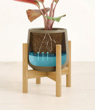 Load image into Gallery viewer, Olive stand:bamboo
