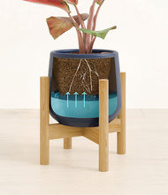 Load image into Gallery viewer, Deep Navy stand:bamboo
