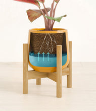 Load image into Gallery viewer, Mustard stand:bamboo

