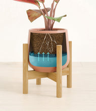 Load image into Gallery viewer, Calm Rose stand:bamboo
