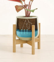 Load image into Gallery viewer, Turquoise stand:bamboo
