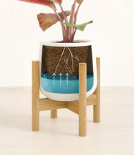 Load image into Gallery viewer, White stand:bamboo
