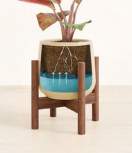 Load image into Gallery viewer, Almond Green stand:walnut
