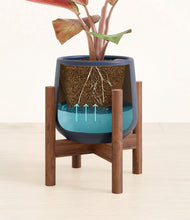 Load image into Gallery viewer, Deep Navy stand:walnut
