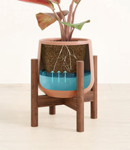 Load image into Gallery viewer, Calm Rose stand:walnut
