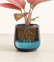 Load image into Gallery viewer, Deep Navy
