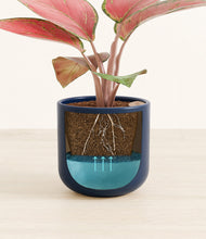 Load image into Gallery viewer, Twilight Blue
