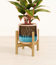 Load image into Gallery viewer, Gentle Pink stand:bamboo
