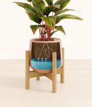 Load image into Gallery viewer, Calm Rose stand:bamboo
