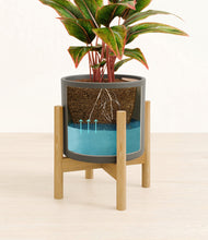 Load image into Gallery viewer, Dark Olive stand:bamboo
