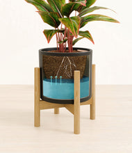 Load image into Gallery viewer, Black stand:bamboo
