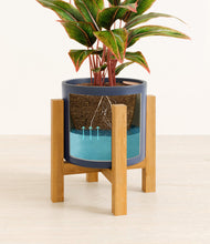 Load image into Gallery viewer, Deep Navy stand:light
