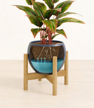 Load image into Gallery viewer, Deep Navy stand:bamboo
