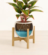 Load image into Gallery viewer, Shiny EggWhite stand:bamboo
