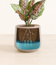 Load image into Gallery viewer, Eternal Gray
