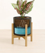 Load image into Gallery viewer, Black stand:bamboo
