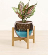 Load image into Gallery viewer, Winter Clouds stand:bamboo
