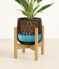 Load image into Gallery viewer, Black stand:bamboo
