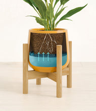 Load image into Gallery viewer, Mustard stand:bamboo
