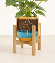 Load image into Gallery viewer, Mustard stand:bamboo
