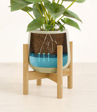 Load image into Gallery viewer, Turquoise stand:bamboo
