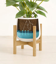 Load image into Gallery viewer, White stand:bamboo
