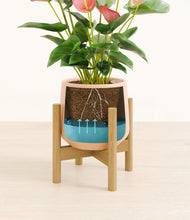 Load image into Gallery viewer, Gentle Pink stand:bamboo
