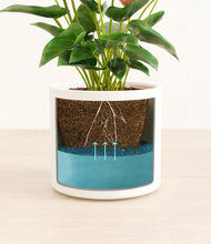 Load image into Gallery viewer, White
