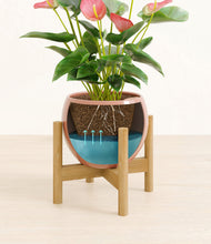 Load image into Gallery viewer, Calm Rose stand:bamboo
