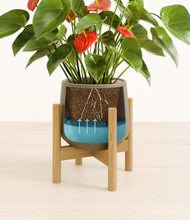 Load image into Gallery viewer, Olive stand:bamboo
