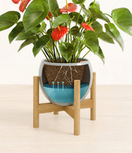 Load image into Gallery viewer, Deep Ocean stand:bamboo
