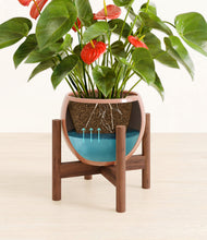 Load image into Gallery viewer, Calm Rose stand:walnut
