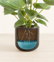 Load image into Gallery viewer, Stone Black
