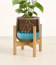 Load image into Gallery viewer, Olive stand:bamboo
