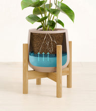 Load image into Gallery viewer, Eternal Gray stand:bamboo
