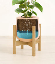 Load image into Gallery viewer, Gentle Pink stand:bamboo
