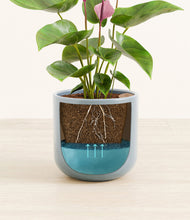 Load image into Gallery viewer, Misty Blue
