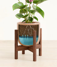 Load image into Gallery viewer, Striped Peach Pink stand:walnut
