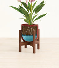 Load image into Gallery viewer, Striped Cherry Red stand:walnut
