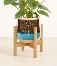 Load image into Gallery viewer, Gentle Pink stand:bamboo

