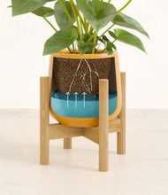 Load image into Gallery viewer, Mustard stand:bamboo
